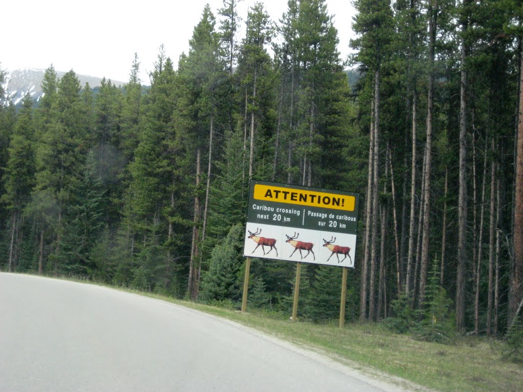 Aviso en la carretera al lago Maligno by R Melgar