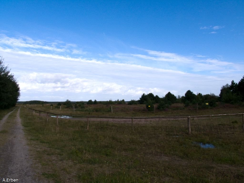 Kuestenheide Cuxhaven by alexander75