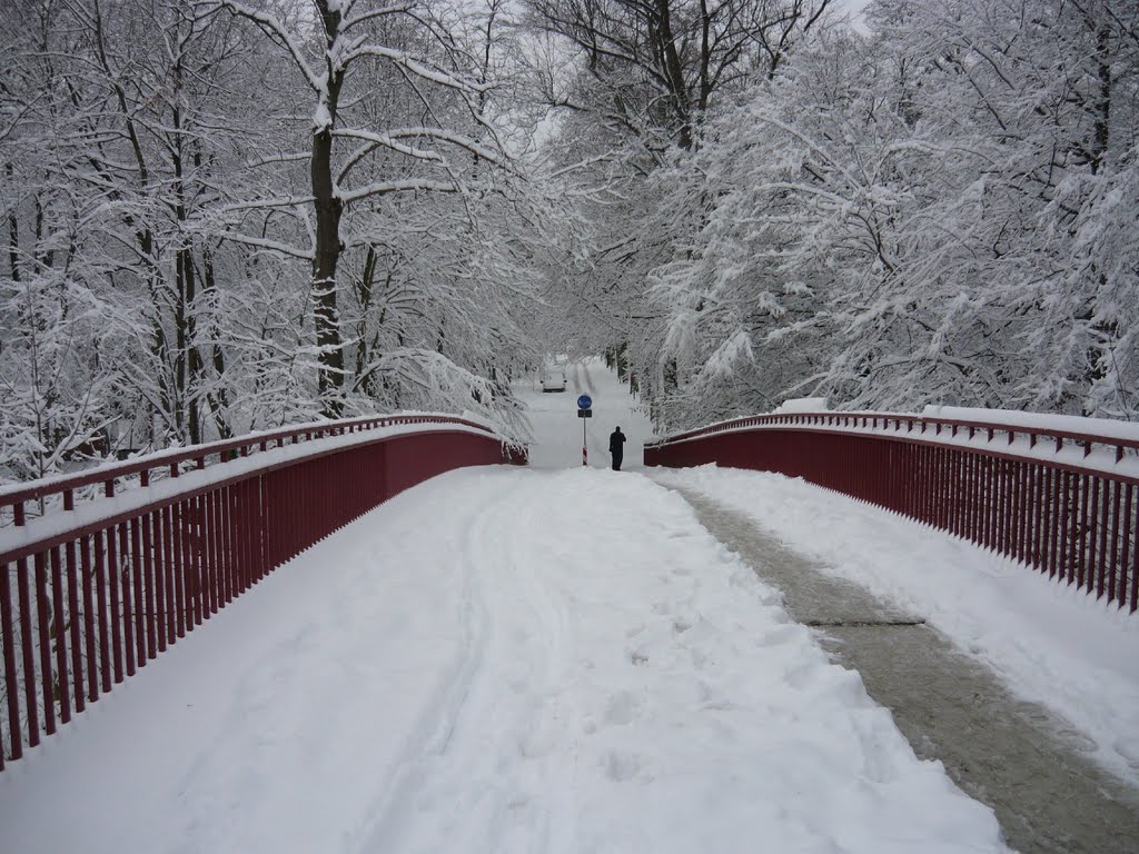 Knielinger Allee, Brücke am Adenauer Ring - tief verschneit by mrtn-ka