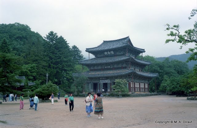 Songgwangsa near Suncheon, May 85 / 송광사 순천시 by Michael Dirauf