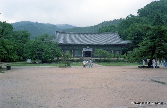 Songgwangsa near Suncheon, May 85 / 송광사 순천시 by Michael Dirauf