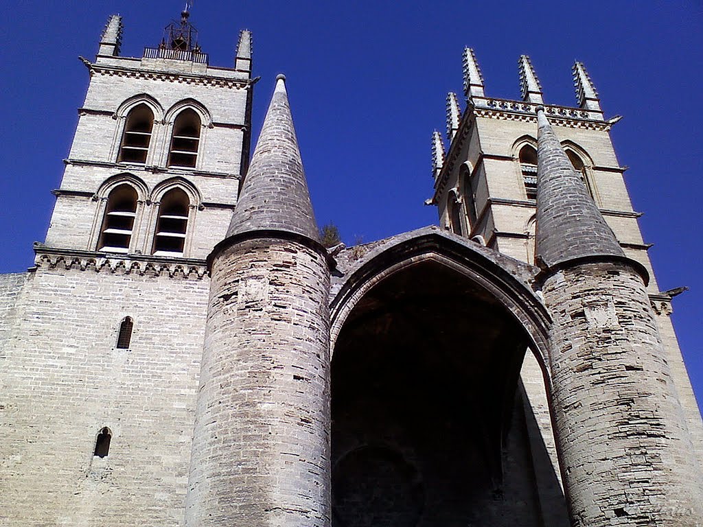 Cathédrale de Saint-Pierre - Montpellier by Jefferson Wellano