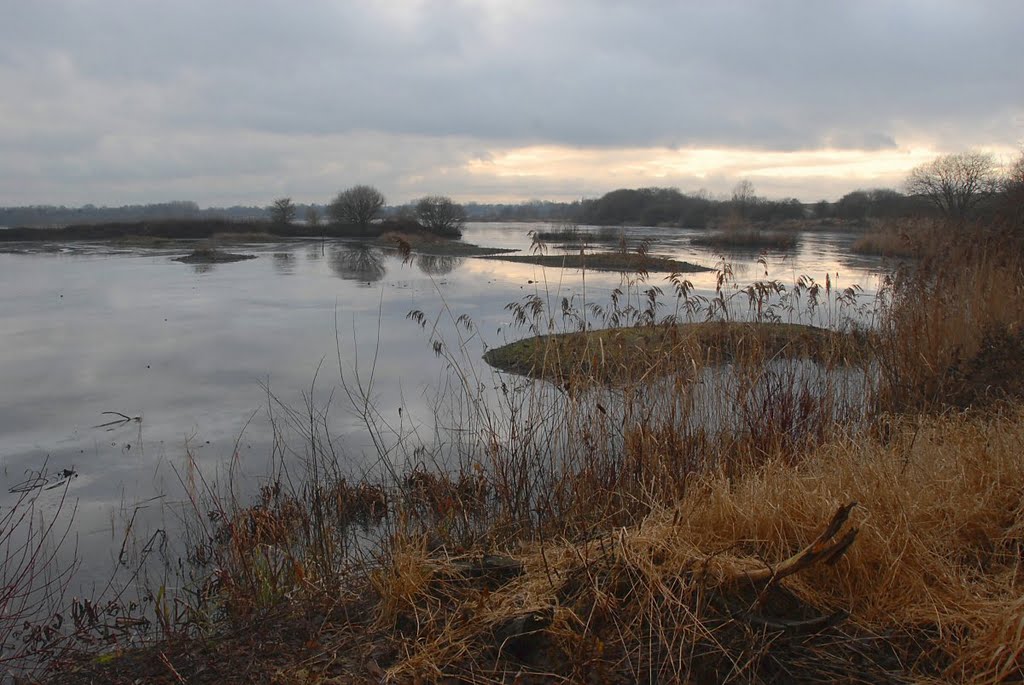 View from hide (winter) by David Humphreys