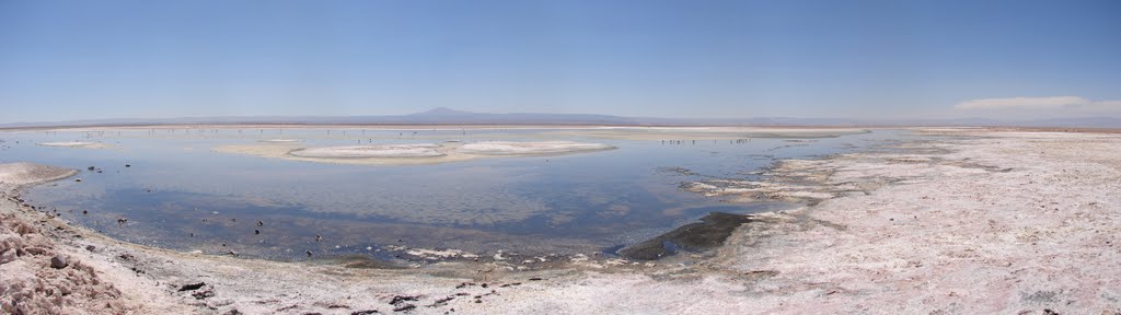 Salar de Atacama, Laguna de Chaxa - 31/dez/2008 by Aurélio Alencar Soar…