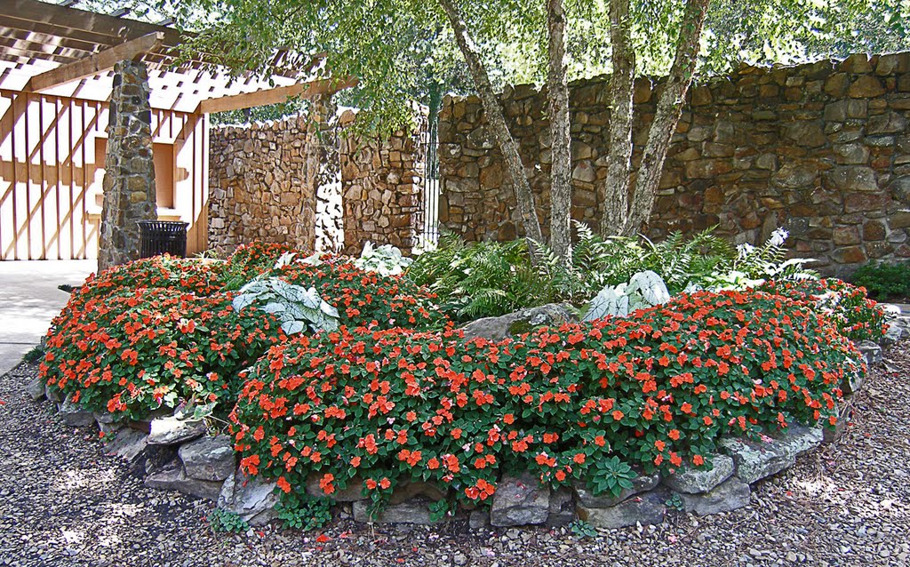 Inside T. R. Pugh Memorial Park by Geezer Vz