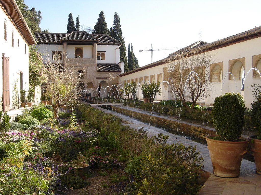 El Generalife by Graciela Jiménez