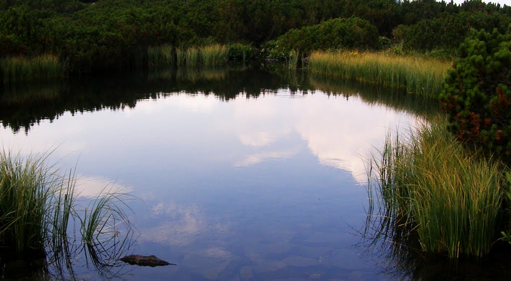 UN LAC MICUT by Labryplusz