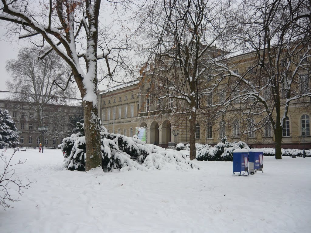 Naturkundemuseum - tief verschneit by mrtn-ka