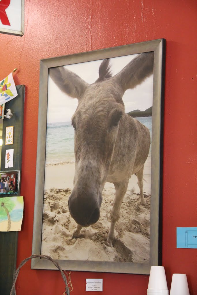 Donkey Diner -Coral Bay -St John -USVI by reaganomics