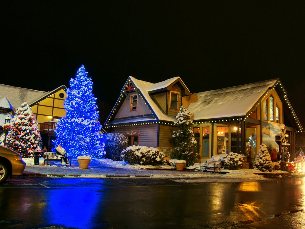 DSC06390 Pigeon Forge at Night by Volkan YUKSEL