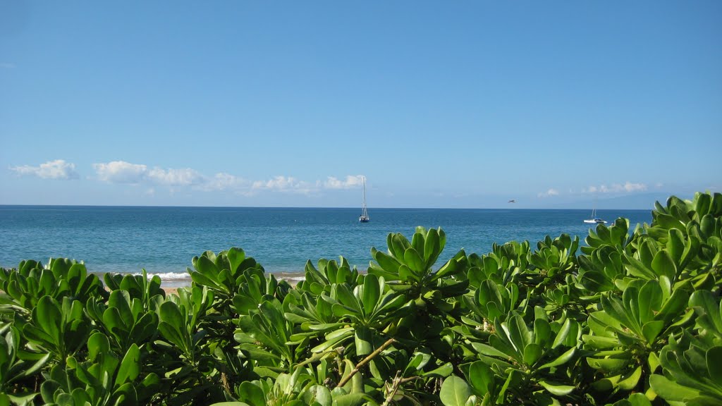 Wonderful view of the Kamaole Beach II by Jaroslav Duraj