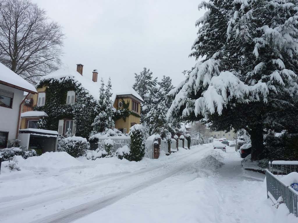 Die Bergstraße als Wintermärchen by Panzerknacker