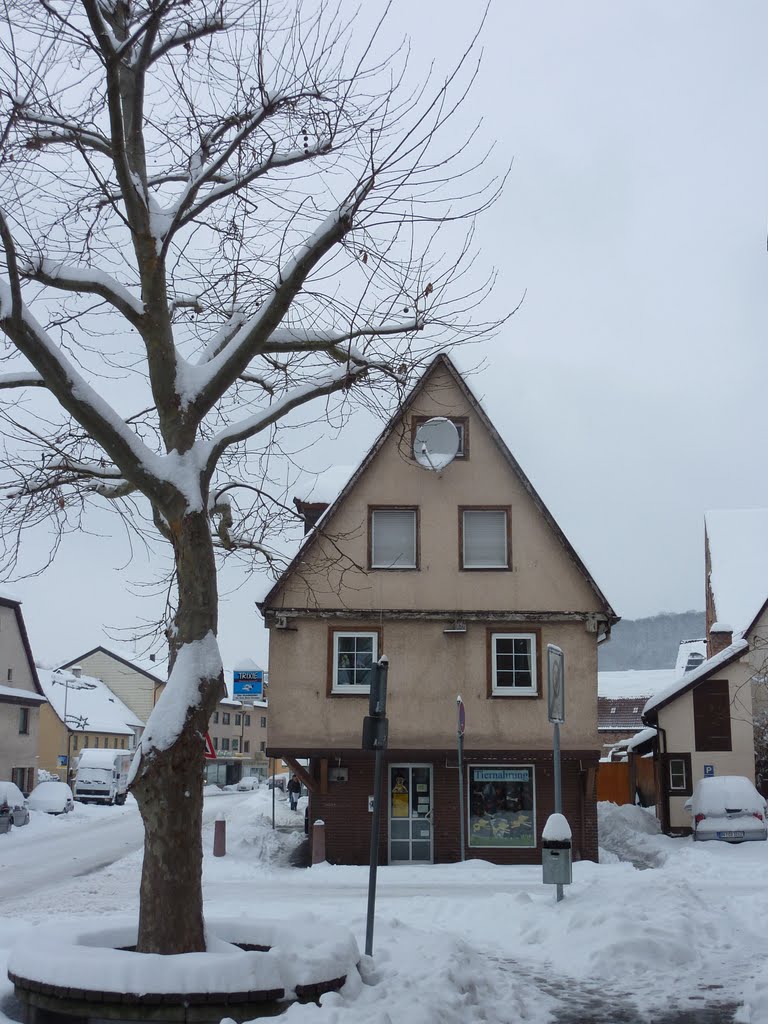 In der verschneiten Hauptstraße by Panzerknacker