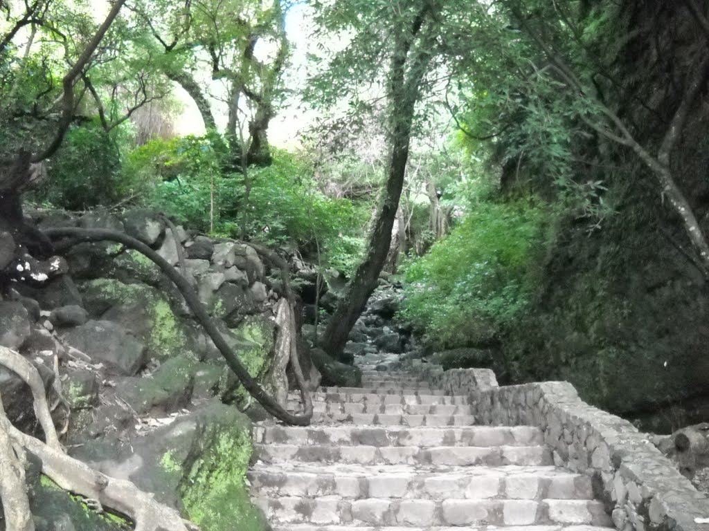 Tepoztlan by Travel