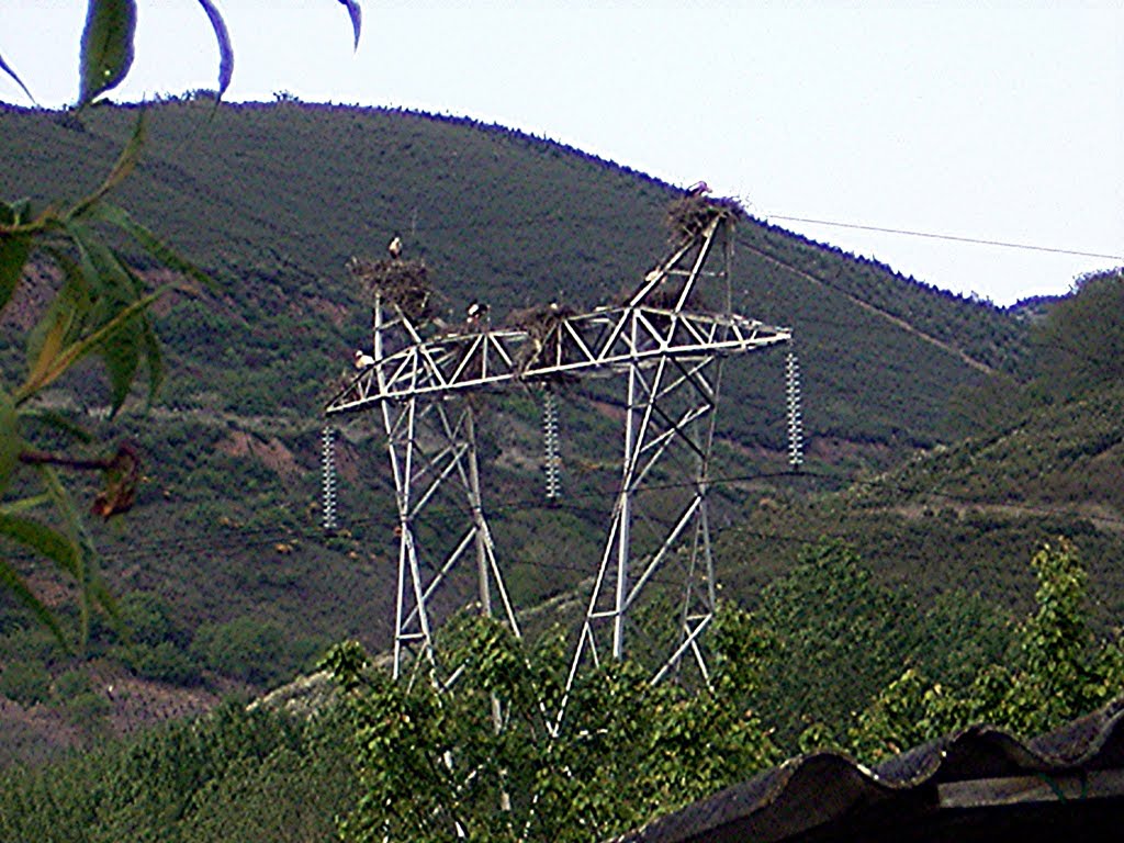 ·˙·CaminoUli2004·.· Molinaseca - six storknests in the high-voltage tower by ·˙·CaminoUli2004·.·