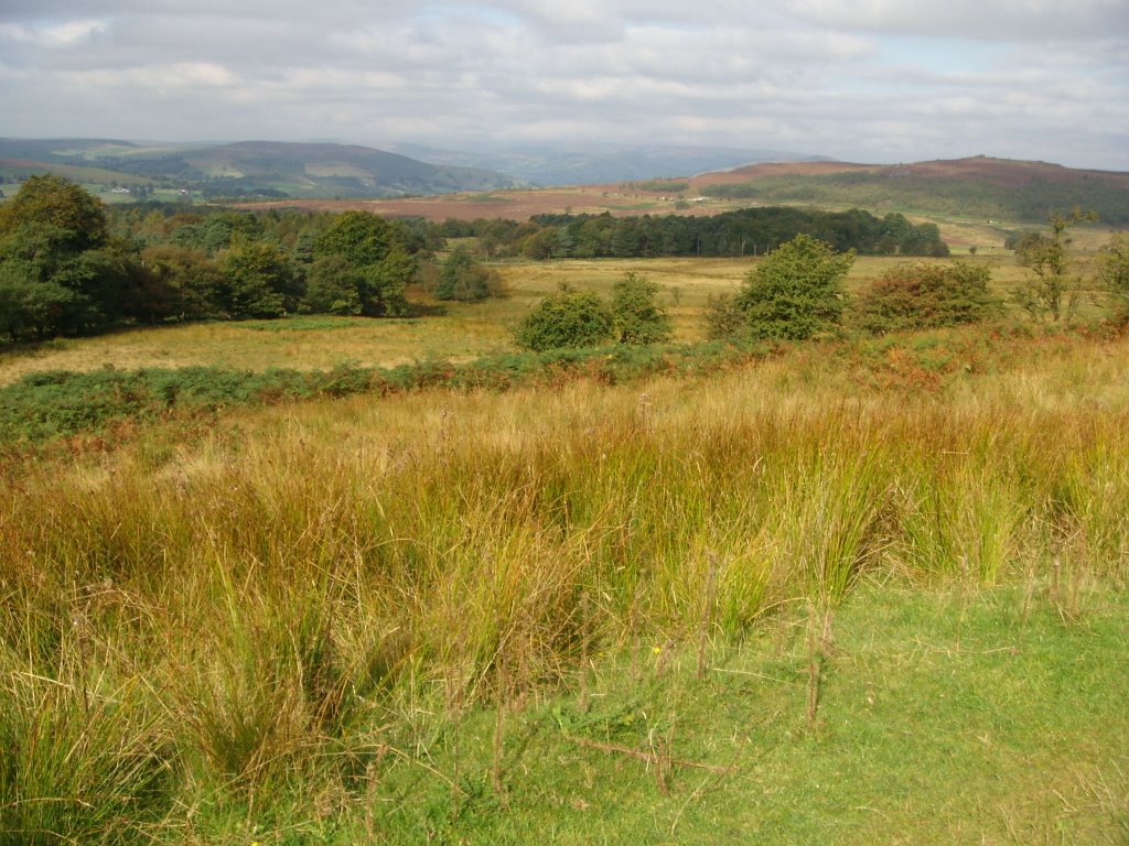 Longshaw Estate. by HannibalCat