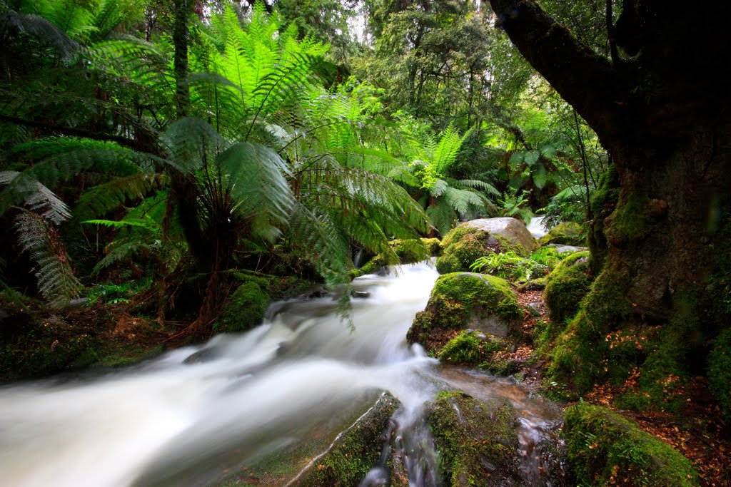 Cement creek, Acheron way by Marioana