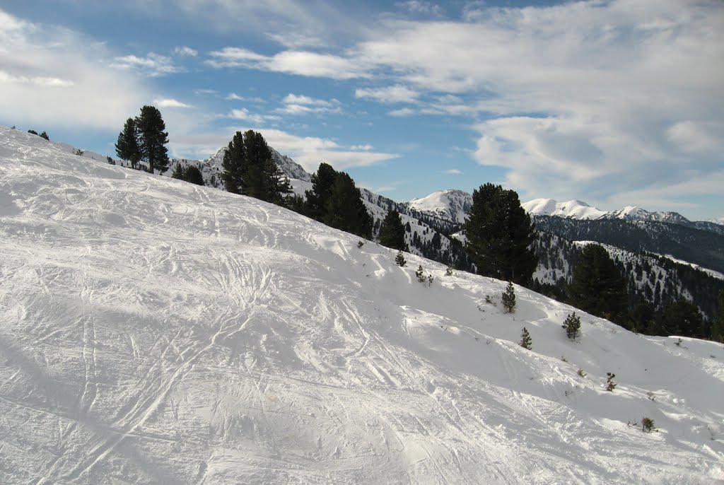 Mountain ski in Val di Fiemme valley (in the Dolomites mountain region) by Alexander_121