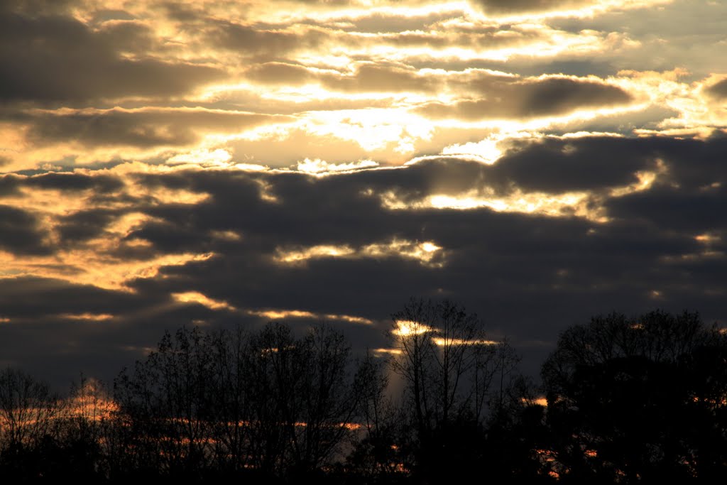 Golden Sunset, Suwanee, Georgia by davidcmc58