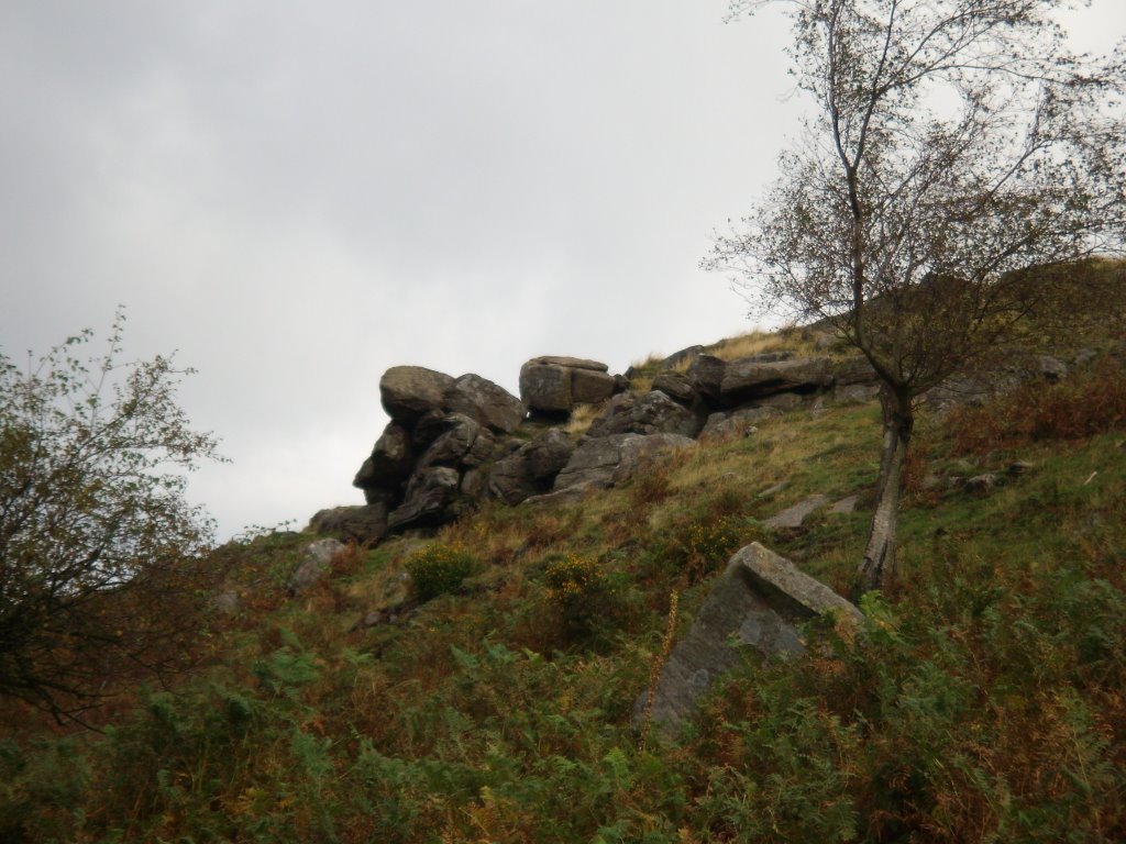 Rocky tumbles at Longshaw. by HannibalCat