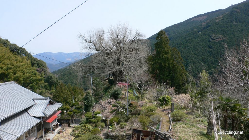 県道32号線 by Yobito KAYANUMA