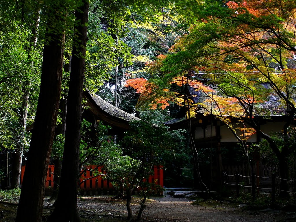 京都 上賀茂神社 by Percy Tai  漆園童