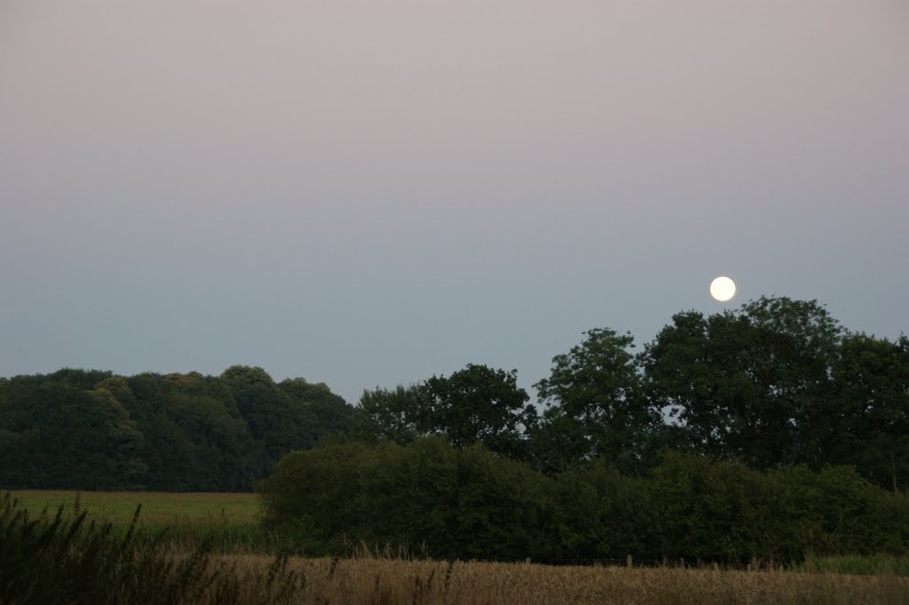 Levée de la lune a la Mare des Saules by Zjeeroom