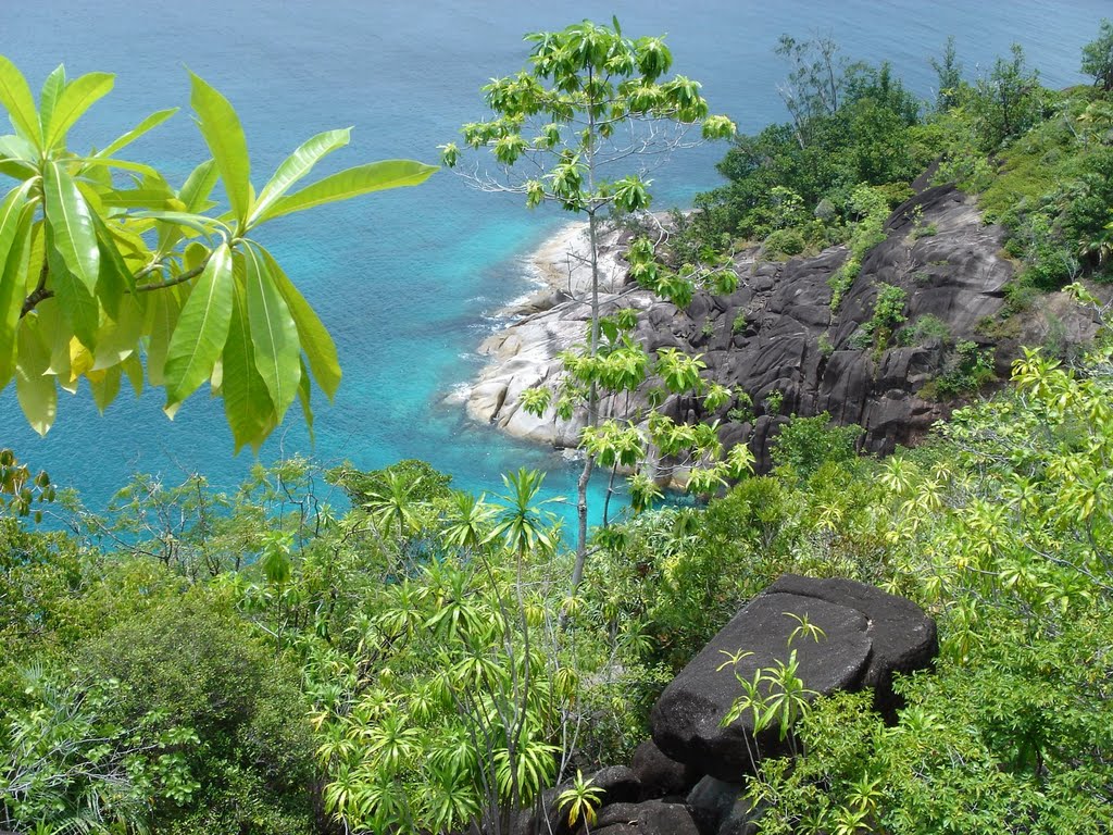 Anse Major Trail, Seychelles by Vadim Nikiforov