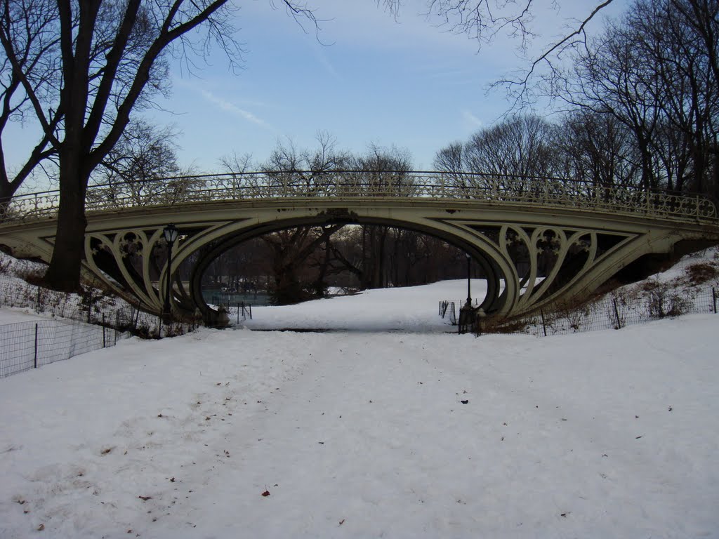 Puente en Central Park by Mari Cruz M.