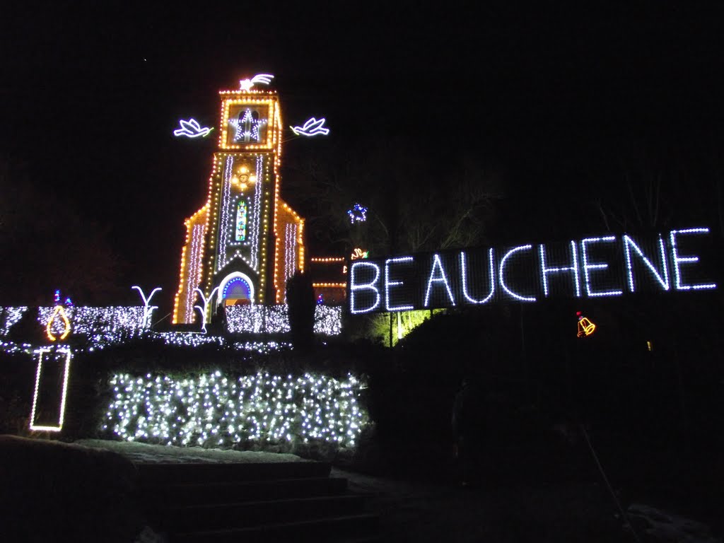 Beauchêne Janvier 2011 by Pelluet Alain