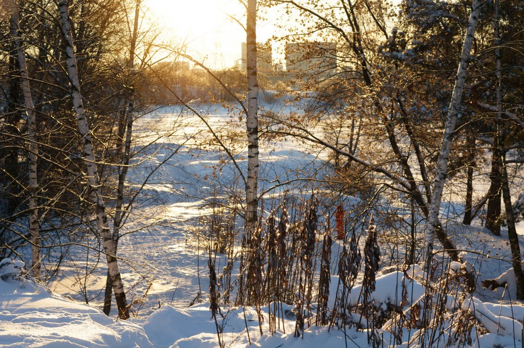 Levoberezhny District, Moscow, Russia by Aleksey463