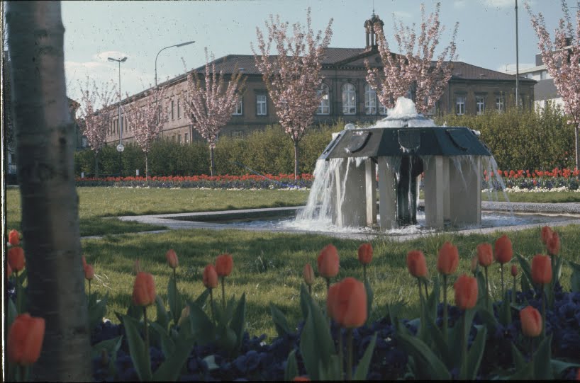 Brunnen vor dem Rathaus by klausundchris