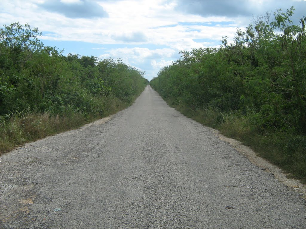 Carretera Sierra papacal- Puerto de abrigo de Chuburna by Tajinrojo