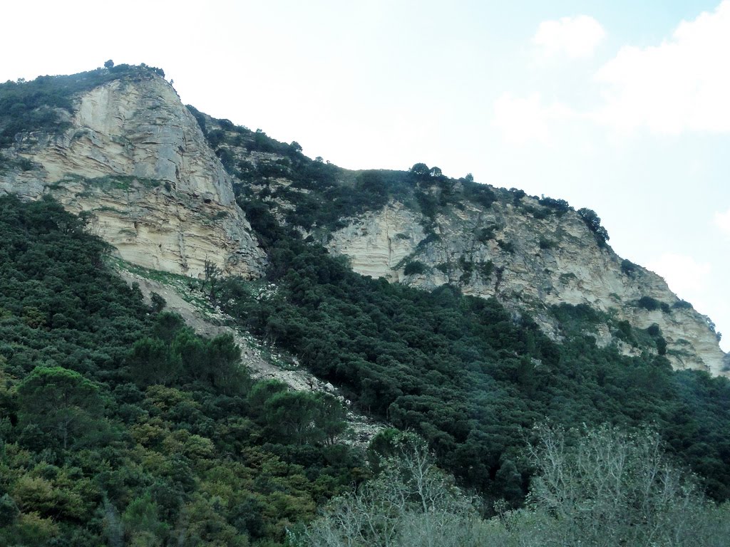 Scala di Giocca by CarmelH