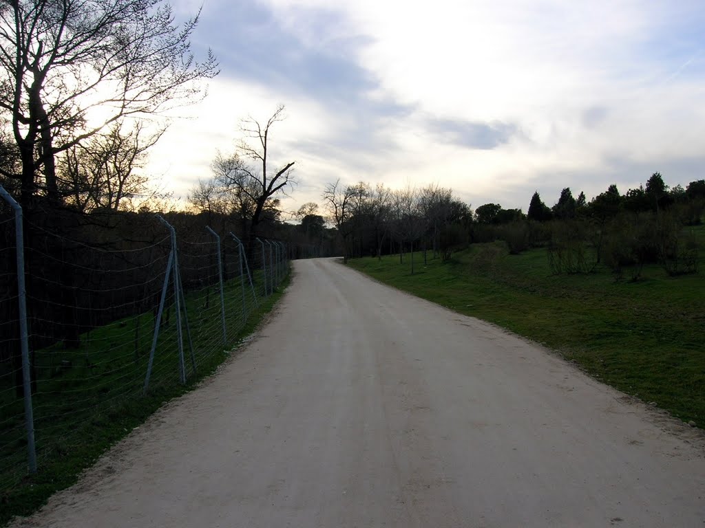 Camino del ocaso by Jose Peyre