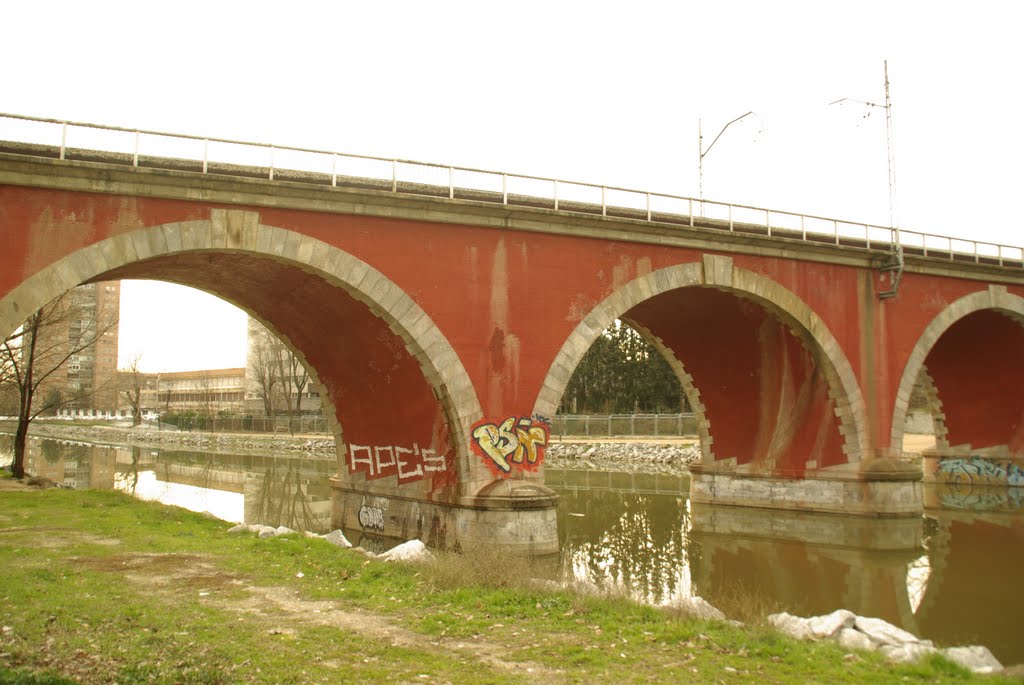 MADRID P.L.M. PANORAMA PUENTE FRANCESES CARA NORTE by DIGITGRAFA