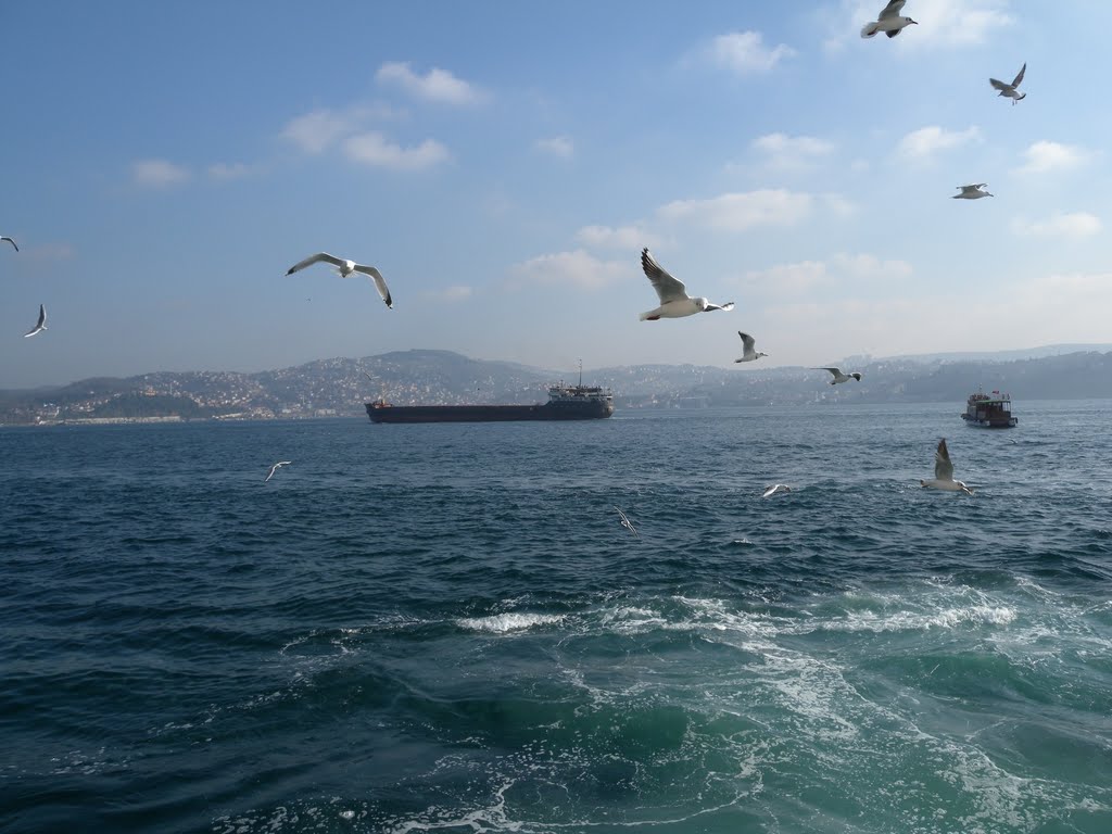 Bosphorus by Giuseppe D'Ambrosio