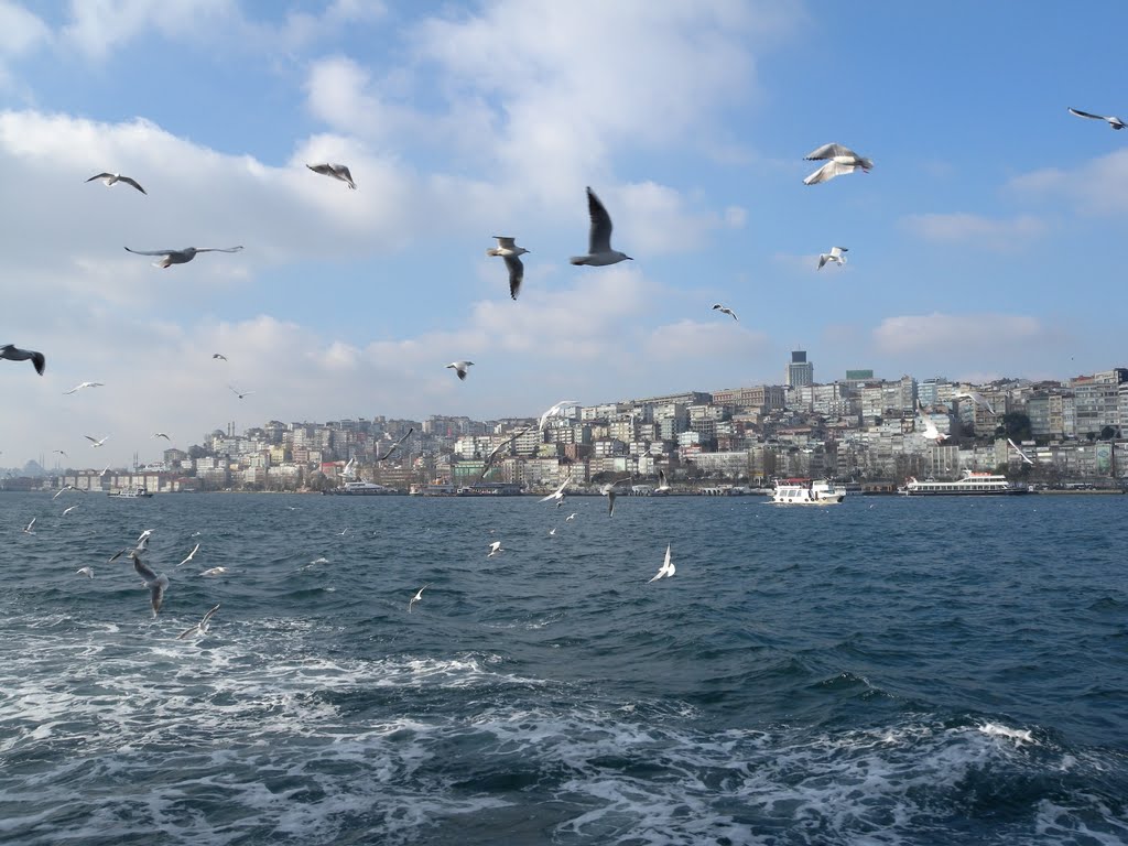 Bosphorus by Giuseppe D'Ambrosio