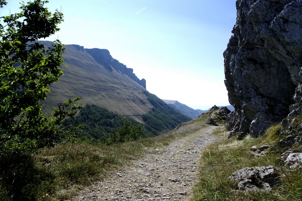 Col de la bataille ancienne piste by Andre GENSEL