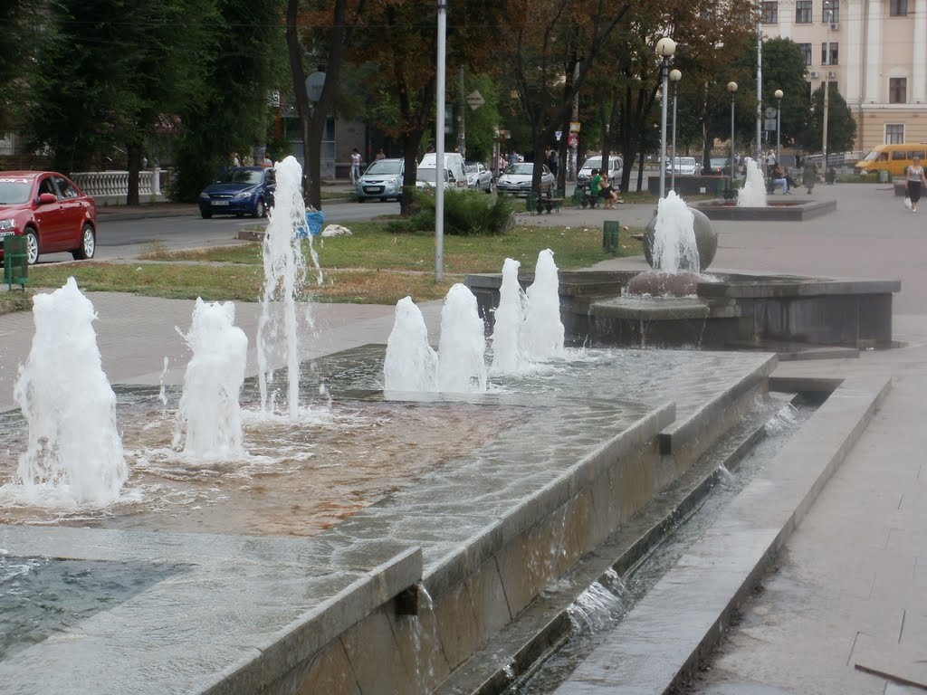 Voznesenivskyi district, Zaporizhia, Zaporiz'ka oblast, Ukraine by vladzp