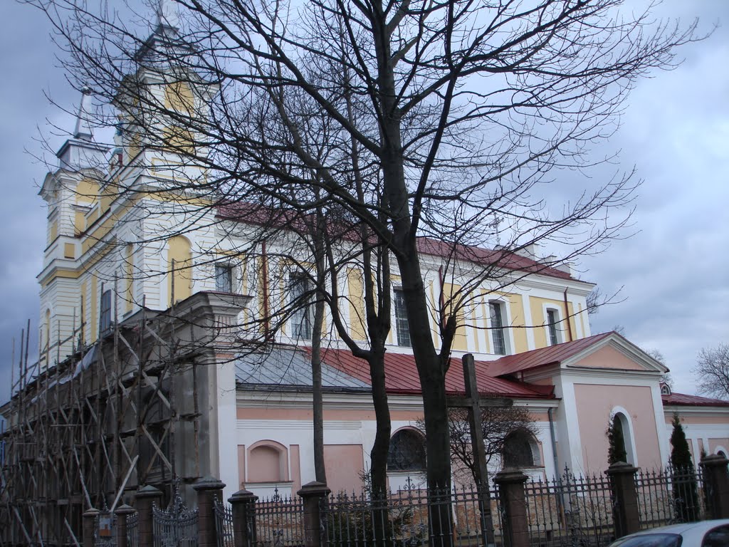 Bohuns'kyi district, Zhytomyr, Zhytomyrs'ka oblast, Ukraine by Elen Engel