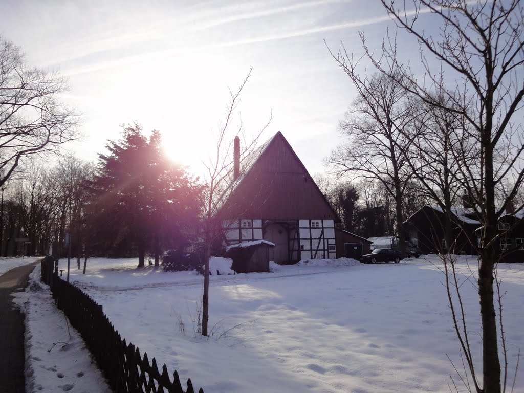 Alte Stadtgärtnerei im Winter 2011 by Foto Fitti