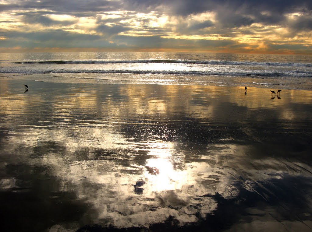 Santa Monica beach, evening by Ольга Щедрова