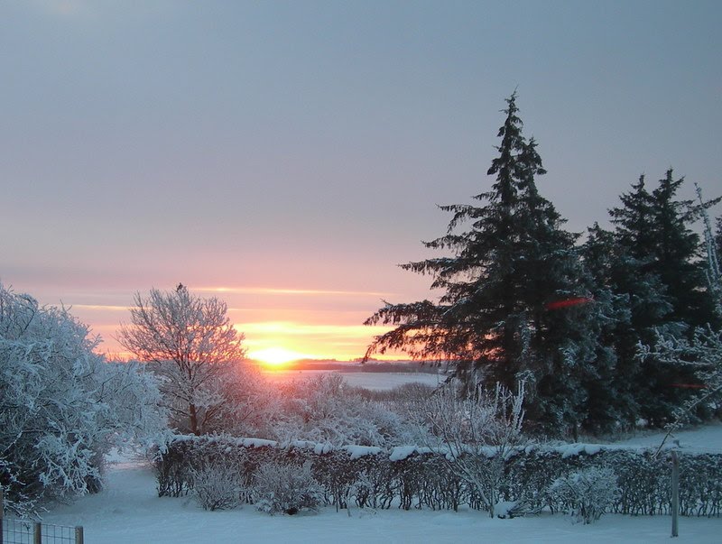 Winter morning by Anders Kr. Tolborg