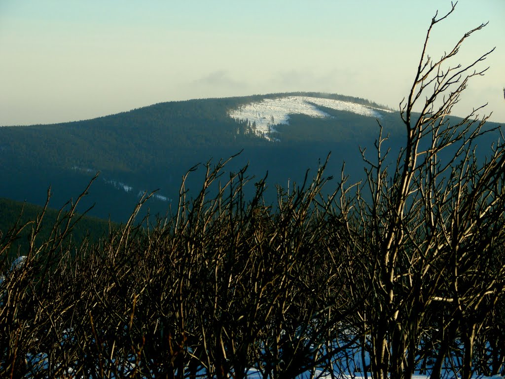 Sokolica 1367m. - Widok na Policę by Dariusz Witek