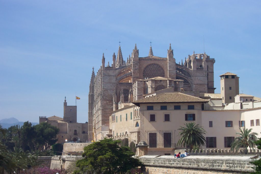 Palma, Catedral by argonaut1492