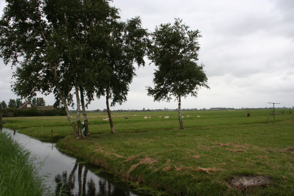 Idyllen hinter dem Damm des Isselmeeres - Weiden mit Schafe, Kühe . . . by Reinhard Klenke