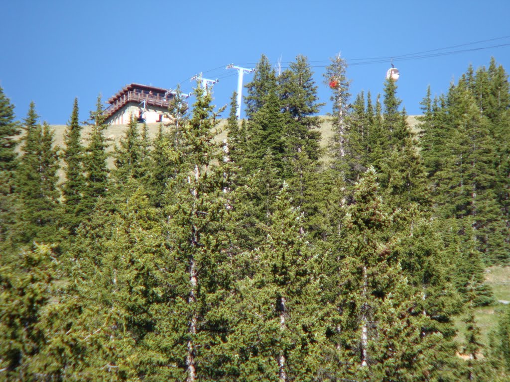 Monarch Pass by MF.