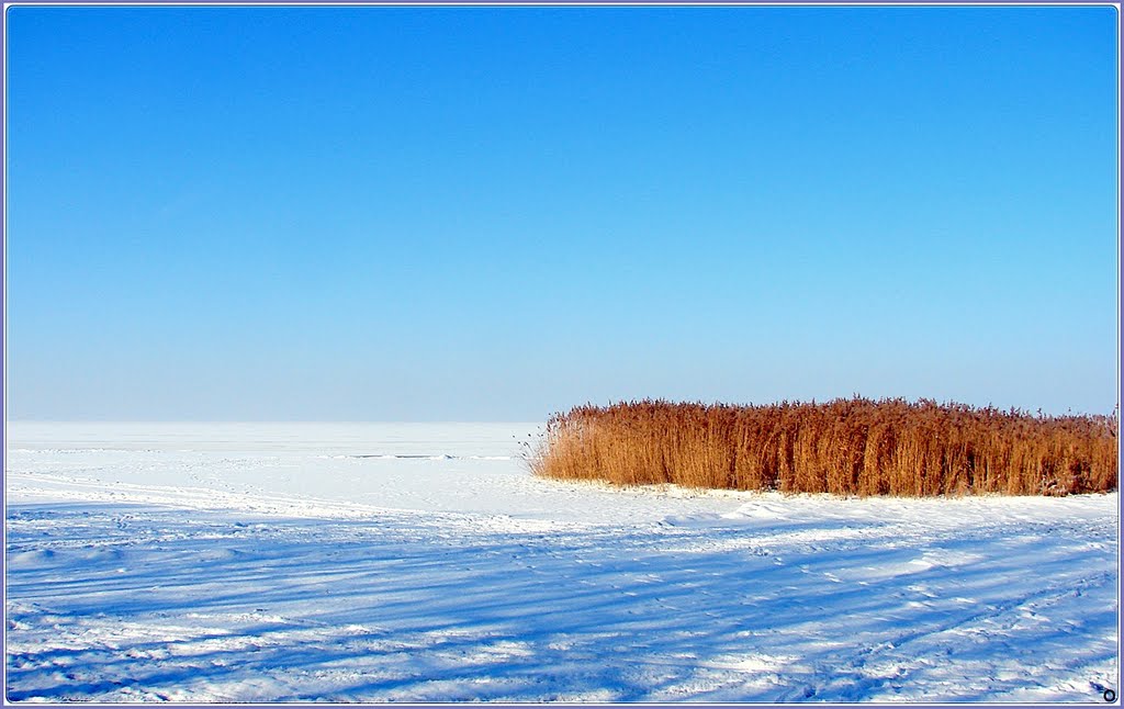 Friss hótakaró. by Osváth Károly