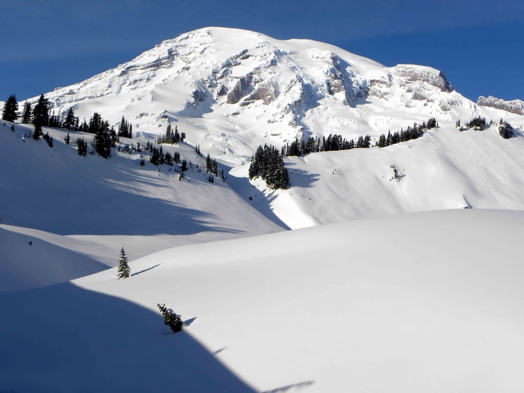 Mt. Rainier by Todd Stahlecker